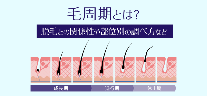 ⏩VIO脱毛のコース値段と回数や効果🍀ミュゼプラチナム✨