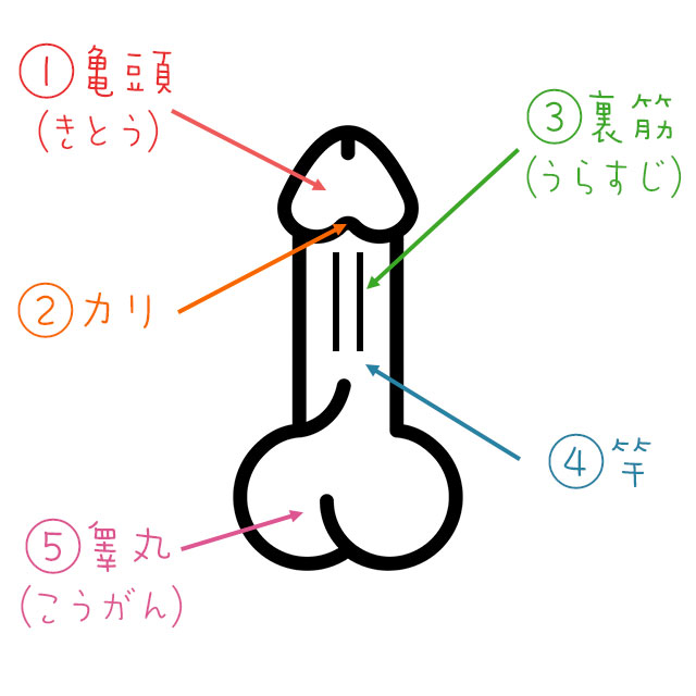 フェラでイカせる３STEP！その3.バキュームフェラのやり方