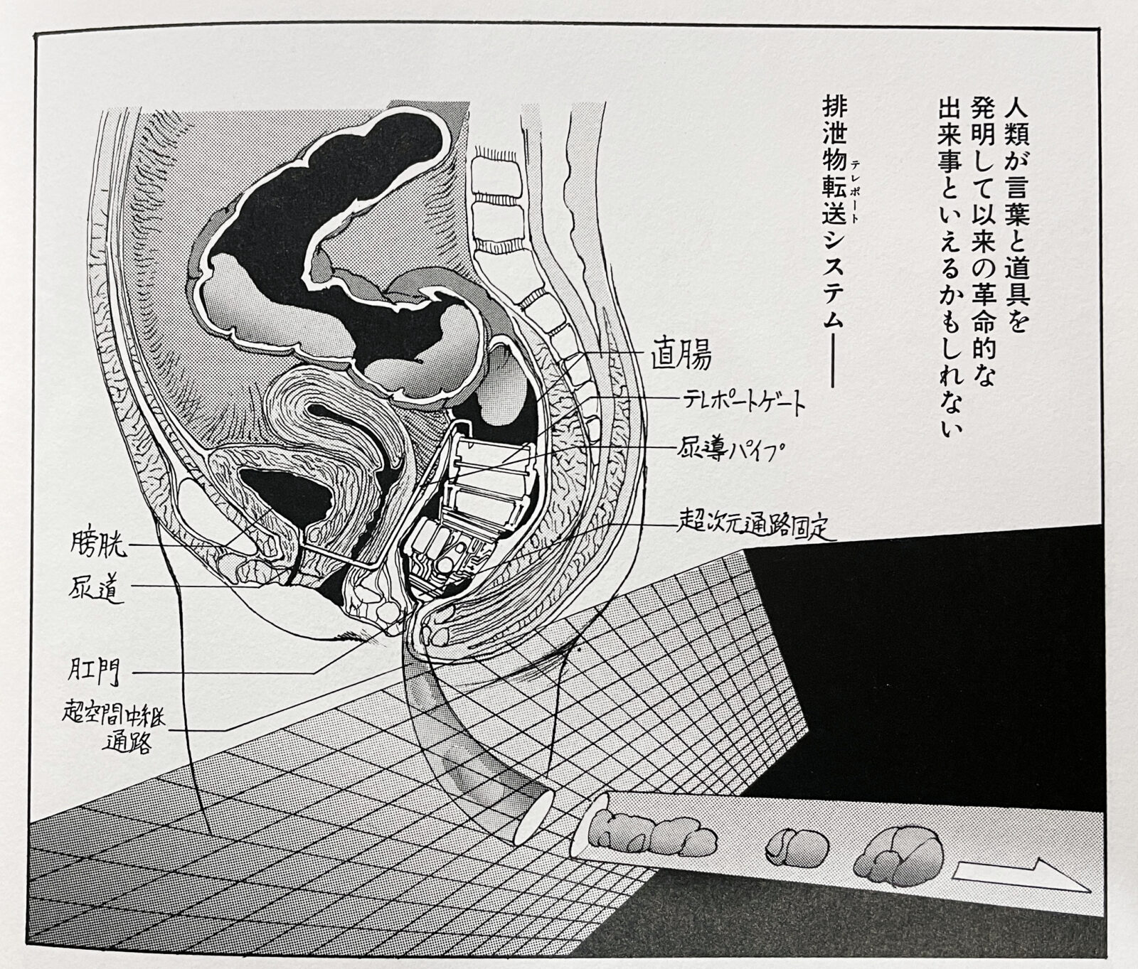 駿河屋 -【アダルト】<中古>かわいいうんち屋さん[羞恥脱糞・自画撮り・スカトロ遊戯] 山口瑠里（ＡＶ）