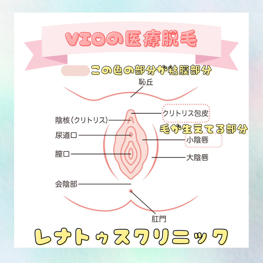 VIOってどんな形？みんなどこまで脱毛してるの？ | mismos（ミスモス）