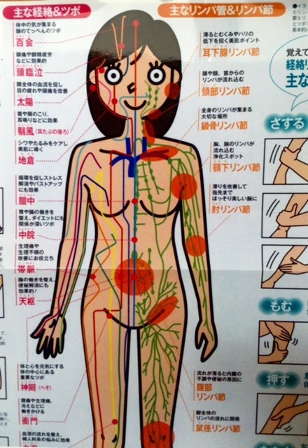 こんなに沢山あるリンパ節、つまると身体の流れが悪くなり万年疲労や、老化、病気の原因になることも し｜温活代謝UPラク痩せ  ヨサ長吉のエステ・リラクカタログ(20220713230726)｜ミニモ