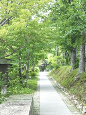 人分けの小道 北山ひとみ - メルカリ