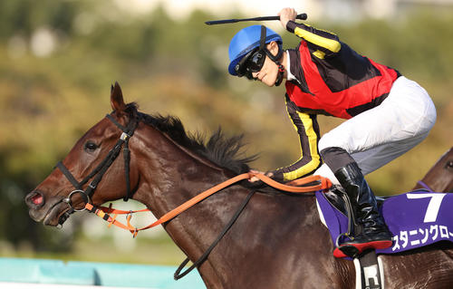 有馬記念・スタニングローズ、中山に到着「具合はこの馬の中でも一番の出来」：中日スポーツ・東京中日スポーツ