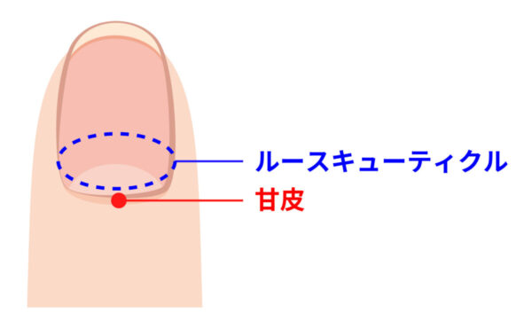 今すぐできる！甘皮処理のやり方｜家にあるものでできる方法＆専門道具を使った方法の2パターンを紹介 | LIPS