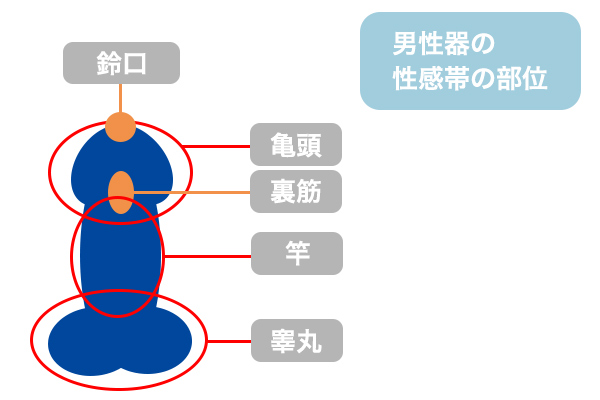 フェラチオの上手な仕方5つ！気持ちいいやり方・コツと彼をイカせるテクニック | Ray(レイ)