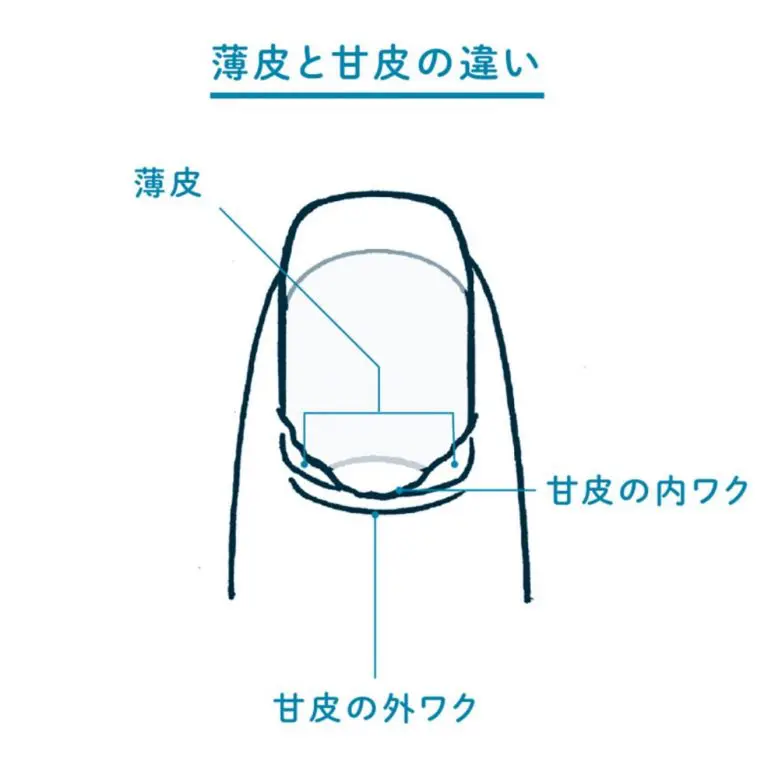 自宅で簡単】甘皮処理はセルフでできる！基本のやり方と必要な道具をガイド – ネイルタウンで見つかる！最新セルフネイル＆トレンドネイルデザイン特集