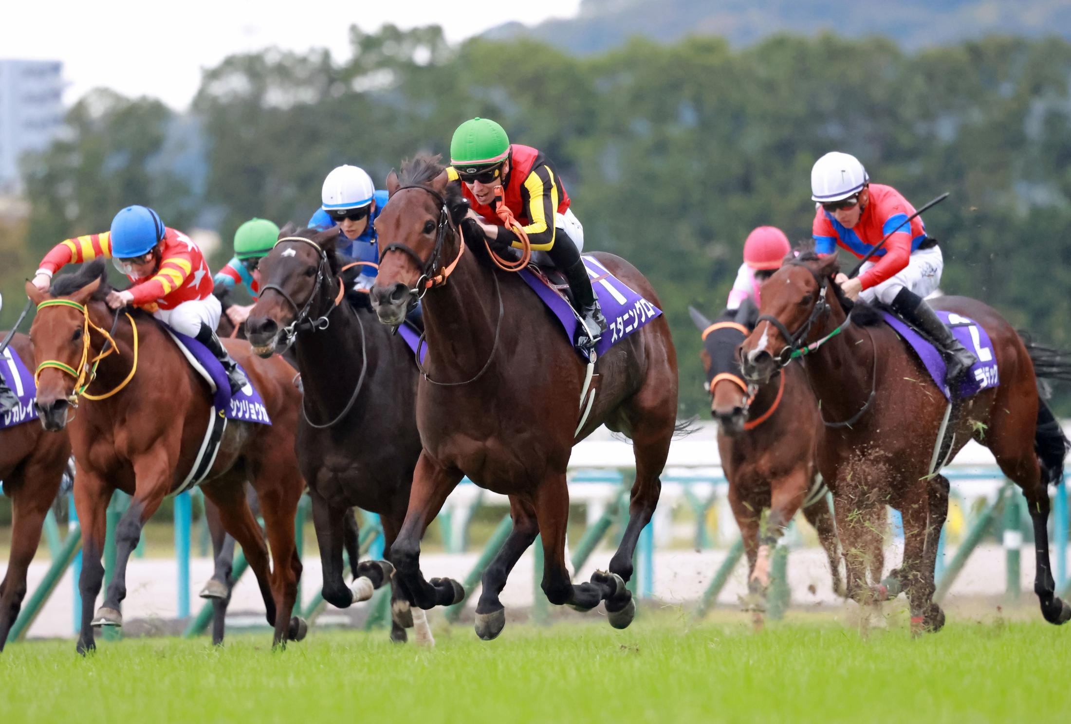 株式会社エスダーヴ｜【企画デザイナー】スタニングルアー｜上品で遊びゴコロあるデザインをの転職・求人情報 - READY