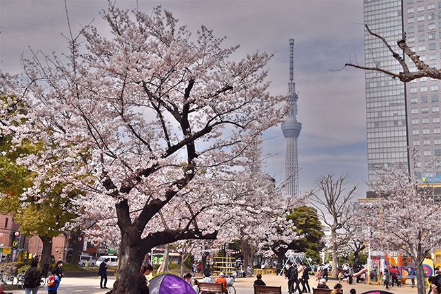 東京都 女性用風俗セラピストがおすすめするラブホテル(錦糸町編) - 女性用風俗・女性向け風俗店『CANDY TOKYO』