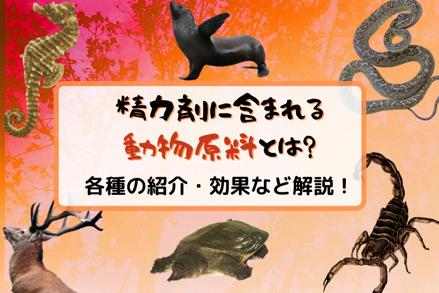 名前は知ってるあの精力剤、ホントに効くの？ 体当たり商品テスト（週刊現代） |