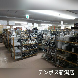 出勤情報：ドMカンパニー 新潟店（ドエムカンパニーニイガタテン） - 新潟市/デリヘル｜シティヘブンネット