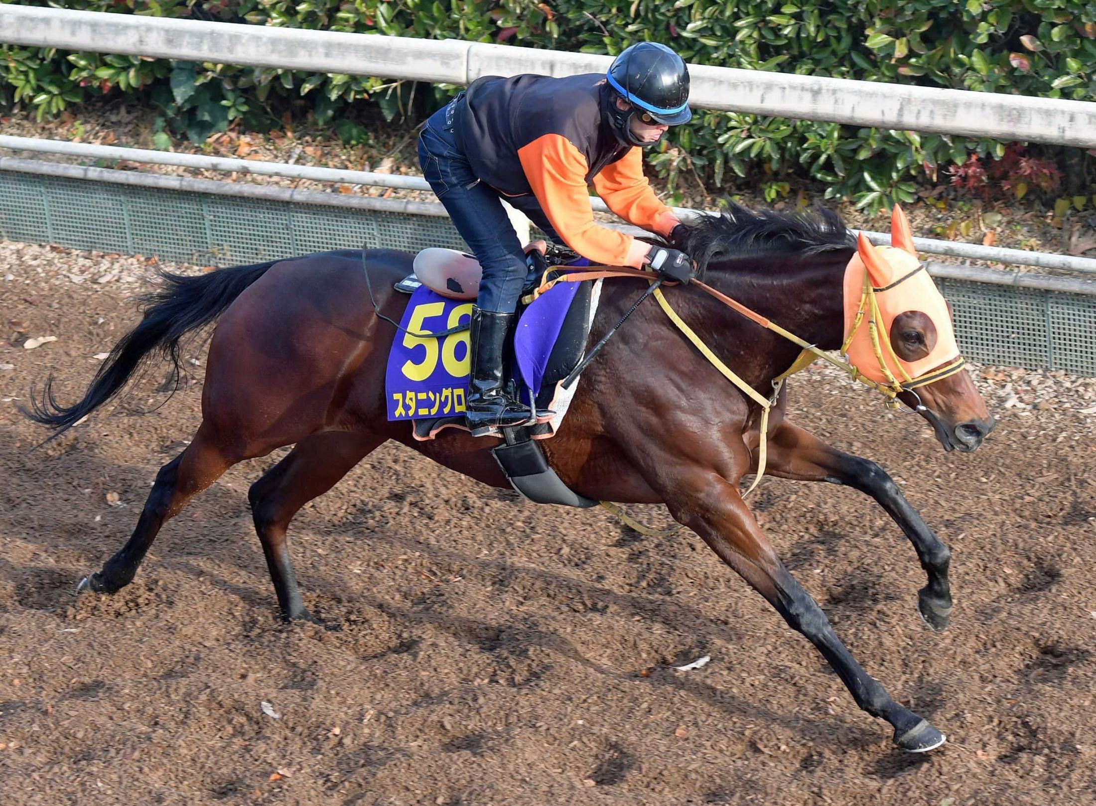 12/19(木)名古屋大賞典：追い切り分析表｜追い切り・調教重視の競馬予想