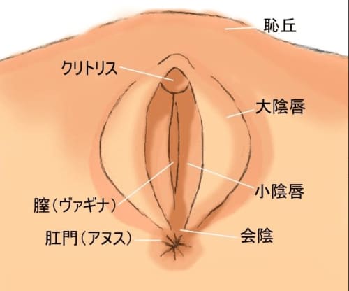 夫は触れることすらしないアナルでセックスがしたい人妻！たっぷりと肛門を愛撫されて初めてのチンポ挿入。変態プレイにいつも以上にマンコが濡れてしまう！｜無料アダルト動画サイト  ファストムービー