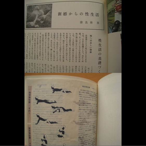 主婦と生活 1960年8月号 別冊付録なし 主婦と生活社 /初潮から結婚までの性医学/菊田一夫/島津貴子/京マチ子/淡島千景/乙羽信子/(生活、料理誌)｜売買されたオークション情報、Yahoo!オークション(旧ヤフオク!)