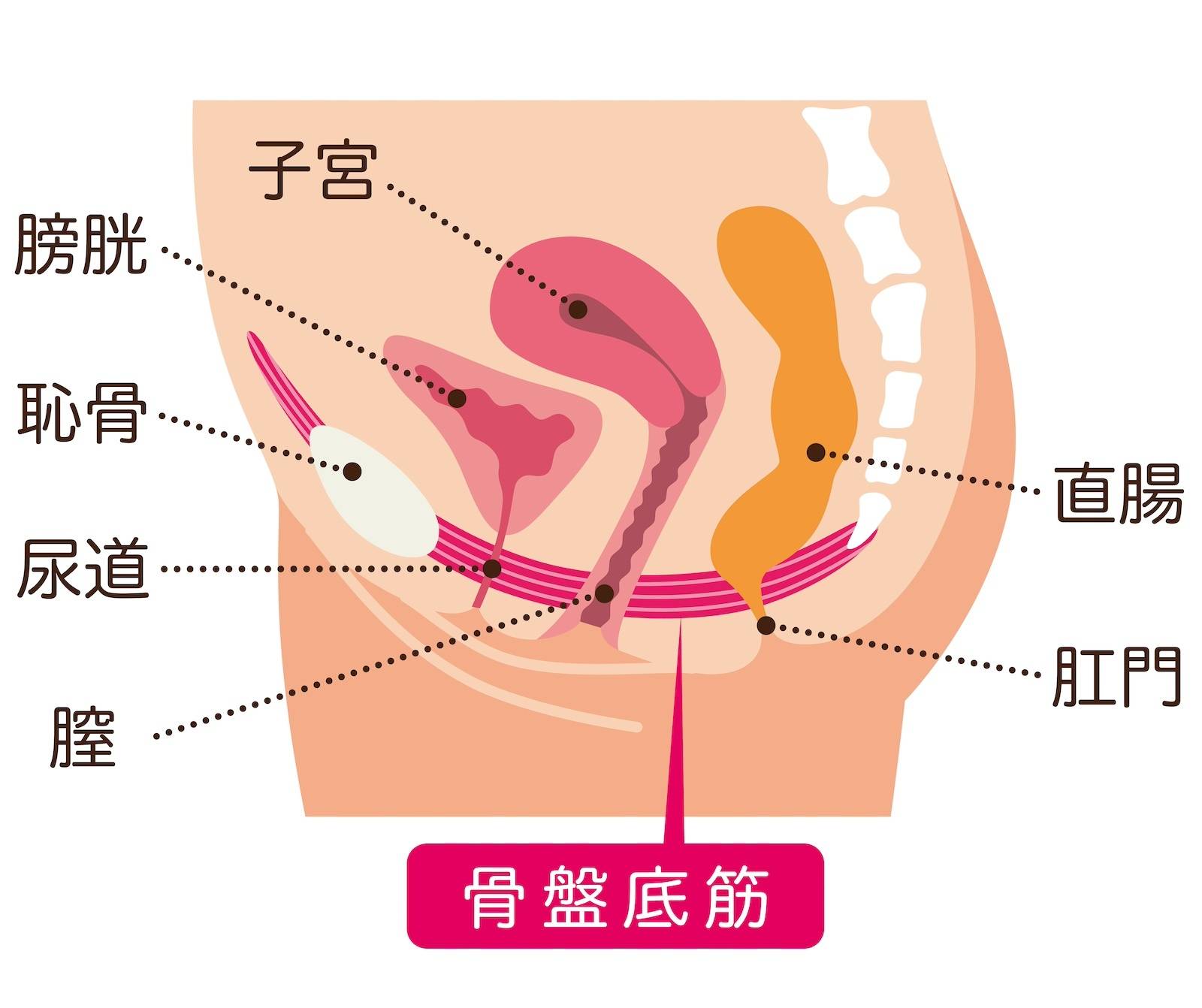 楽天ブックス: 僕のセックス・ヴァージンキラー -