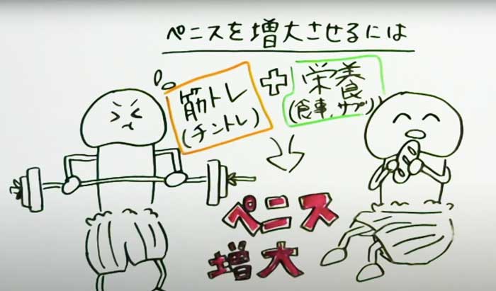 泌尿器科医が解説】ペニス増大トレーニング（チントレ）は効果ナシ！リスクもあり注意！